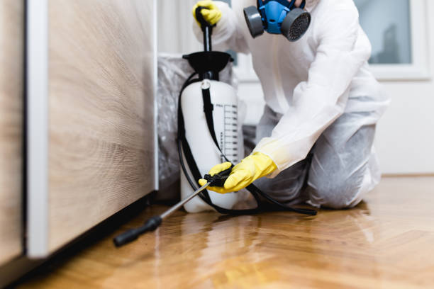 Wildlife Control Services in Palmview, TX