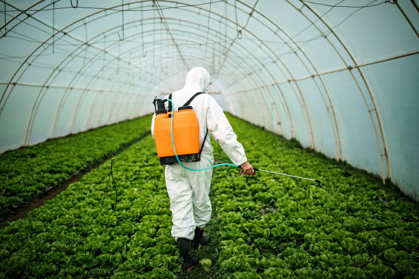 Best Affordable Exterminators  in Palmview, TX