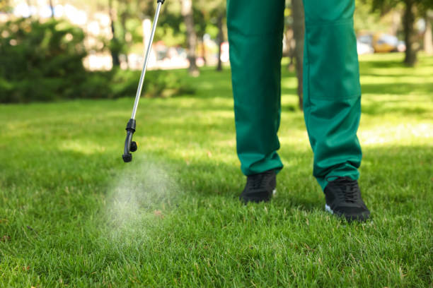 Best Cockroach Control Services  in Palmview, TX