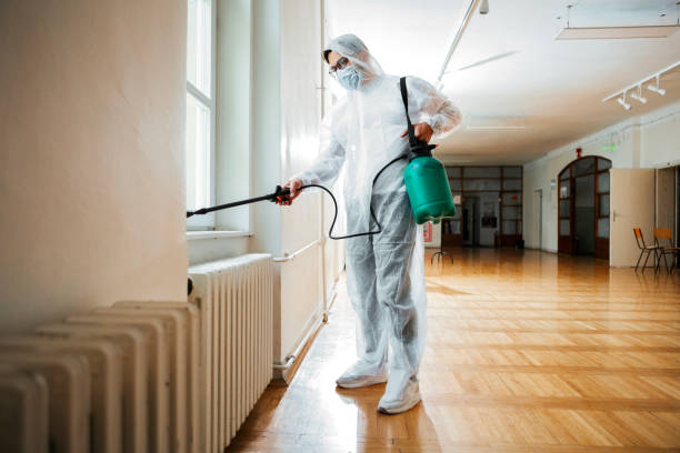 Best Pest Control Near Me in Palmview, TX